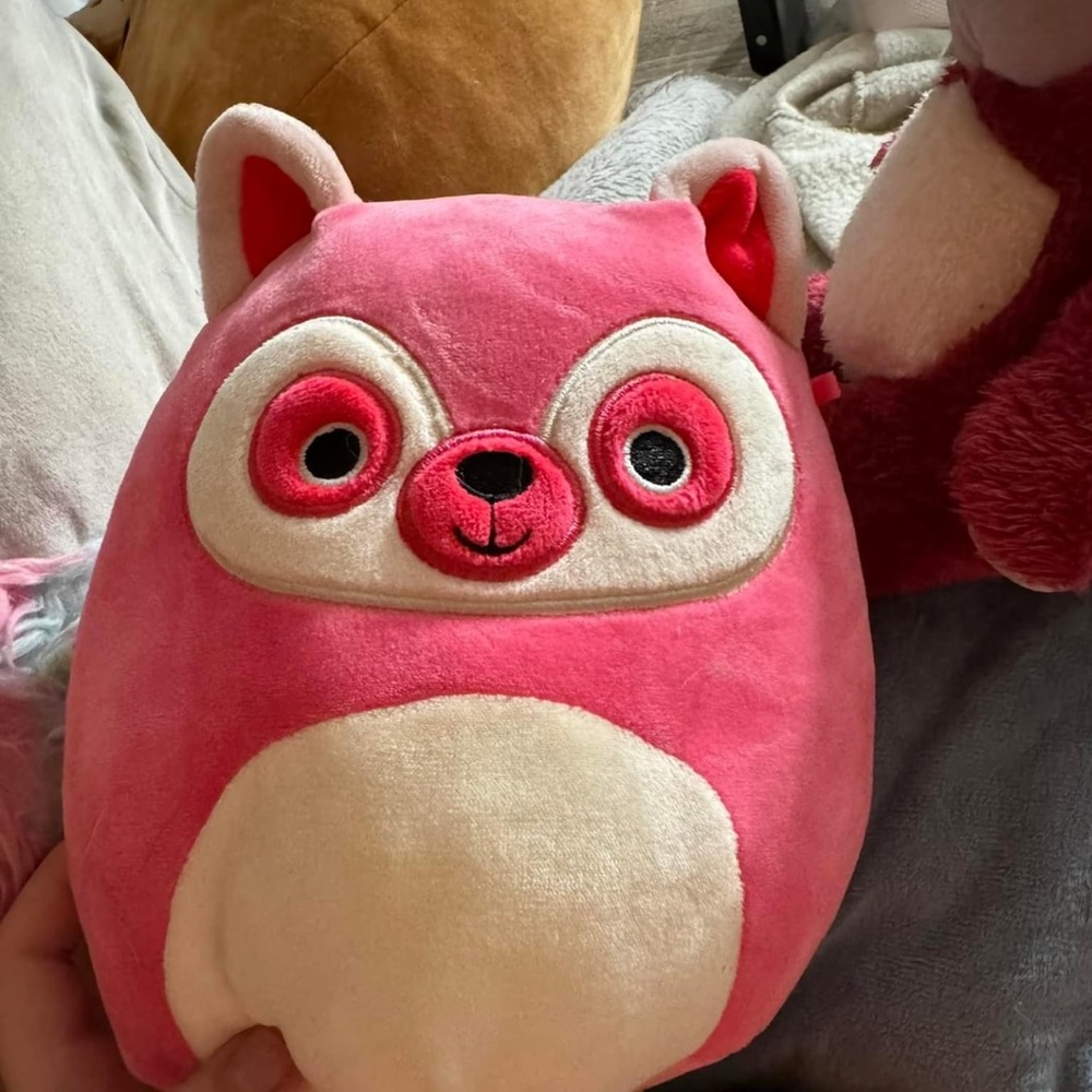 Raccoon squish mallow